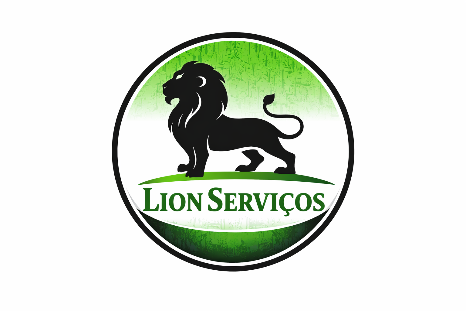 Lion - Empresa de Reformas